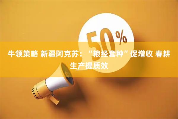 牛领策略 新疆阿克苏：“粮经套种”促增收 春耕生产提质效